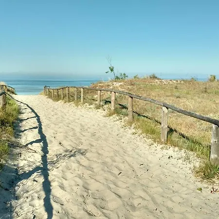 Bed and Breakfast Dorja